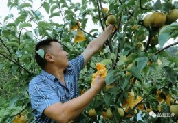 直播提前预约技巧,直播怎样提前预约时间
