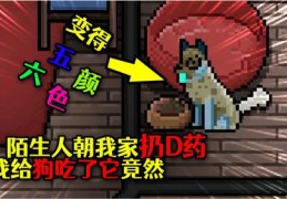 直播间送东西技巧,直播间送礼怎么送