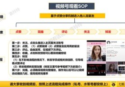 直播技巧详解，分解与视频讲解指南