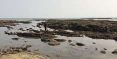 营口赶海直播技巧与收费赶海攻略