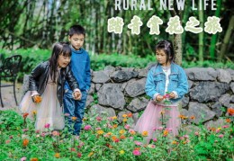 海边直播送花技巧,海边直播送花技巧视频