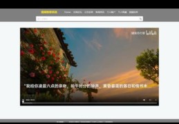 电脑视频如何高效推广至热门，实用策略分享