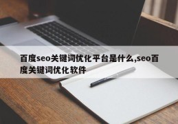 百度seo关键词优化平台是什么,seo百度关键词优化软件