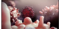小红书如何轻松上热门推荐，秘诀与技巧分享