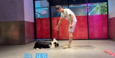 在桌面怎么拍摄视频教程
