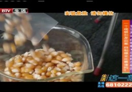 爆米花短视频制作教程，拍摄与发布指南