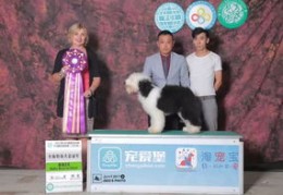 直播技巧宠物,直播技巧宠物怎么弄