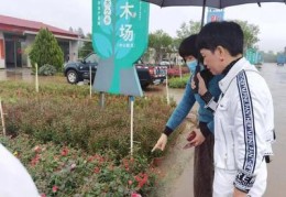 女性营销技巧直播,针对女性的营销方案