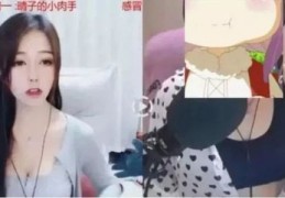 直播遮脸技巧,直播如何遮挡局部画面
