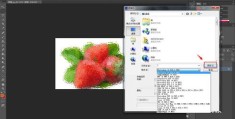如何导入照片至热门软件，实用教程