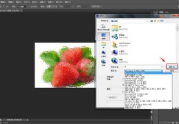 如何导入照片至热门软件，实用教程