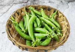 豆荚上热门秘籍，传播种子的策略与技巧