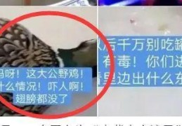 浪子直播技巧解说,浪子在哪