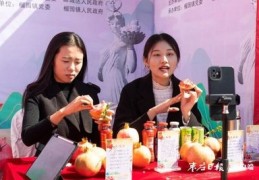 石榴直播卖货技巧,直播卖石榴的话术