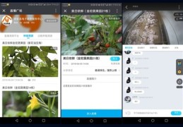 萤石直播说话技巧,萤石直播说话技巧教程