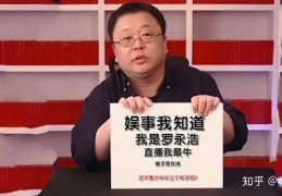 快手直播与粉条推广的实用技巧分享
