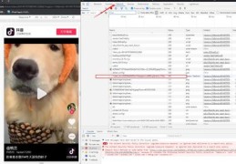 抖音口播视频上热门攻略，内容制作与优化的关键步骤