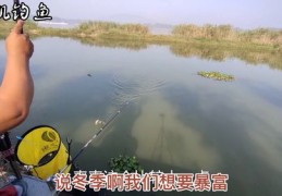 冬季钓鱼技巧与野钓实况直播视频分享
