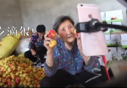 说车技巧直播,说车节目排名