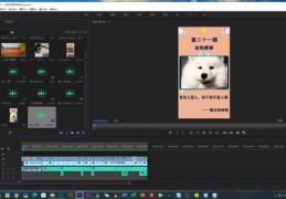 快手搞笑直播技巧大全，轻松吸引观众的小妙招！