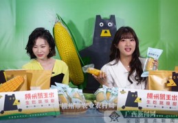 小小玉米直播技巧,小小玉米corn
