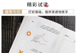 草书练字技巧直播,草书怎么练视频教程