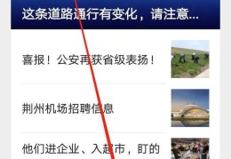 迅雷看直播技巧详解与视频教程分享
