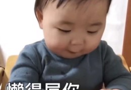 新手直播卖货指南，技巧与步骤全解析