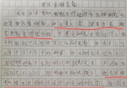 小学生快速上热门作文攻略，范文参考与技巧分享