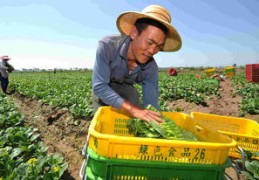 农民如何上热门挣钱？视频教程揭秘赚钱秘籍