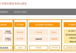直播人气接单技巧全解析，提升人气与接单效率的秘诀