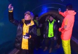 鱼缸开直播技巧,鱼缸开缸养水教程视频