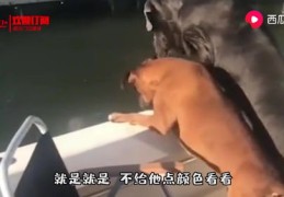 大妈抖音热门秘诀，如何拍摄上热门视频？