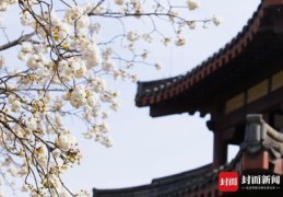 直播汉服技巧,直播汉服技巧大全