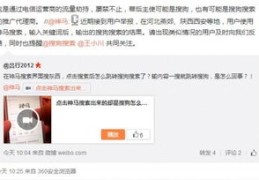 神马搜索网站突然搜不到了怎么办[神马搜索为什么不能搜]
