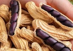 卖花生直播技巧,如何卖花生