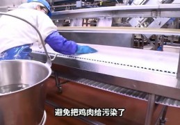 杀鸡手法技巧视频直播,杀鸡教程视频