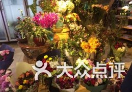 神马搜索营销平台,神马搜索推广平台