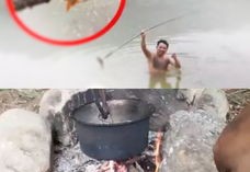 水缸直播钓鱼秘籍大揭秘，鱼缸直播间的秘密技巧