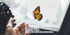情感节目如何上热门赚钱