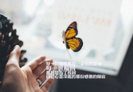 情感节目如何上热门赚钱