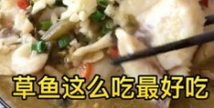 酸菜鱼怎么拍摄教程图片
