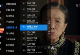 2011春晚直播技巧,2011春晚完整版回放