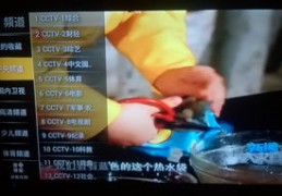 橙子直播技巧组合的简单介绍
