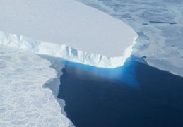 神马搜索的主要产品,神马搜索有哪些产品