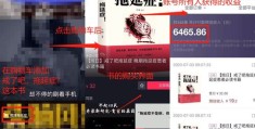 涨粉秘籍，如何轻松上热门成为网红大咖