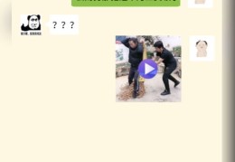 爆笑聊天记录引爆热门，如何轻松吸引网友关注