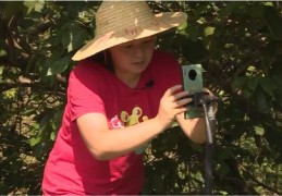 农村视频热门之路，拍摄、赚钱两不误！