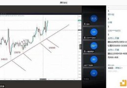 直播btc操作技巧,btc教程