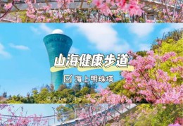 厦门景点直播攻略，带你领略厦门风光